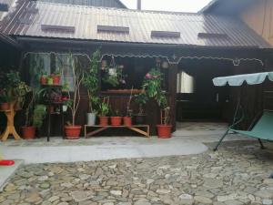 Agrouturistic House in Manastirea Humorului