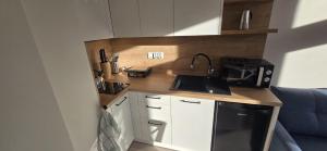 Villa Susanne Szklarska Poręba