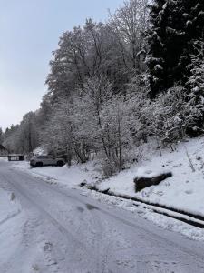 Apartmán Mirka Dolní Morava