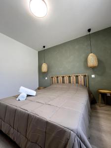 Villas Villa exotique avec piscine - Dolce Rhona : Villa