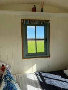 Lower Trewern Shepherds Hut