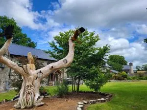 Teifi Cottage - Cwm-coy