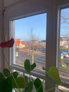 Ferienwohnung Seeblick in Ostseebad Nienhagen