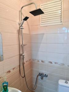 Best apartment with kitchen in the center