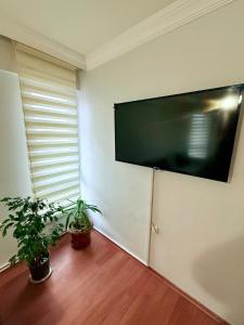 Best apartment with kitchen in the center