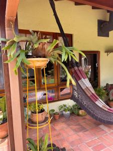 Rio Tavares Beach House