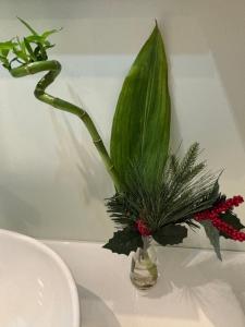 La casa di Beatrice e Francesca