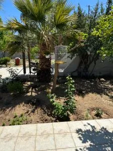 Anemones Athens guesthouse - Loútsa