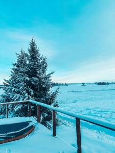 Raadivere Põllupeegel with Sauna