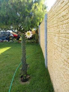 Recanto quatro estações