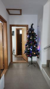 Kuća sa lepim pogledom - porodica Čolović