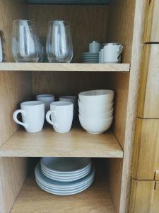 Temporario Mono Centro La Plata