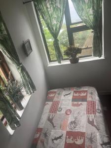 Laidback holiday home