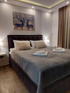 Kopaonik Lux Resident Hill Apartman A39