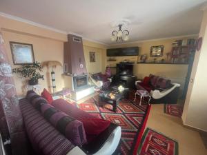 Vila Tradicionale Violeta Korce