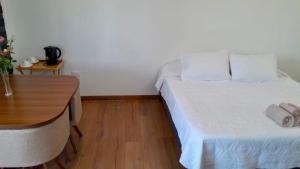 Departamento un ambiente centro Puchuncaví