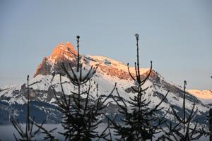 Appartements Chalet Montana : photos des chambres