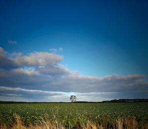 The Bonnie Wee Bothy