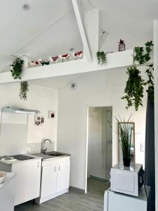 Appartements Casa 4 Saisons - Studio a theme - PiscineJardin - Proche centre-ville : photos des chambres