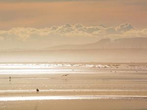Vue sur les voiliers