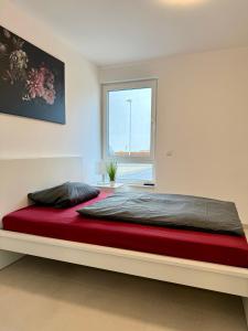 Apartment WH6