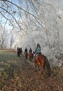 TücsökTanya Vendégház