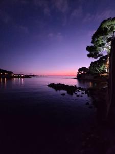 Bandol A Bandol cha cha cha - Appartement