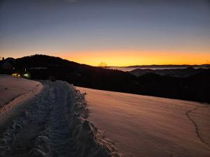 Planinska kuća Tasić, Tara