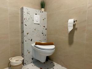 Appartements La Grange - Ground Floor Apartment, Terrace, Free Private Parking, Near Colmar : photos des chambres