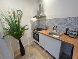 Maisons de vacances Studio Cosy des Landes : photos des chambres