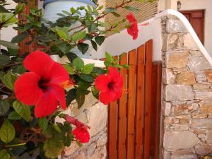 Polikandia Hotel Folegandros Greece