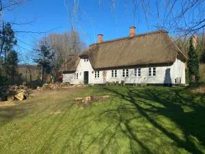 Cozy cottage getaway Holse - Skovsgårde