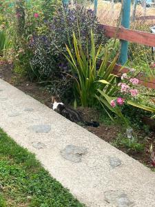 Casa horizonte austral