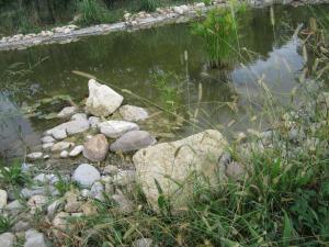 B&B / Chambres d'hotes BASTIDE DES MARTELIERES : photos des chambres