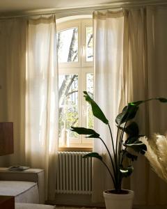 Vintage Flat in Gdańsk Stocznia