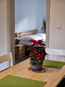 Apartmány Karolína - Kašperské Hory