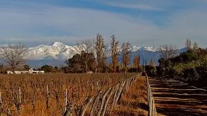 Finca Clamar - General Ortega