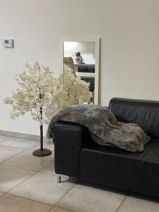 Appartements Le reflet d-Ambre : photos des chambres