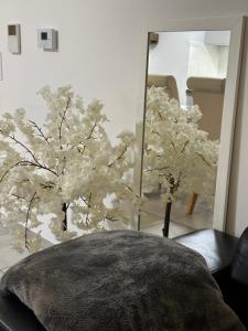 Appartements Le reflet d-Ambre : photos des chambres