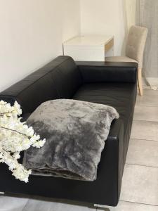 Appartements Le reflet d-Ambre : photos des chambres