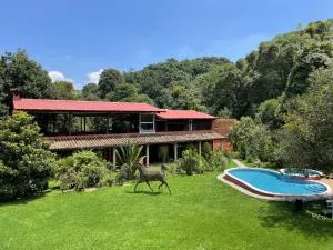 Hotel Boutique Finca La Niebla - 科阿特佩克