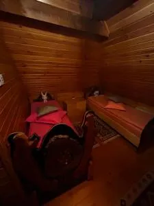 Satul lui Traian - Rohia