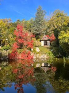Maisons de vacances L-Autre Paradis : photos des chambres