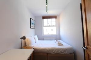 Central London property