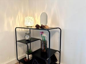 Appartements LE LEGUE : photos des chambres