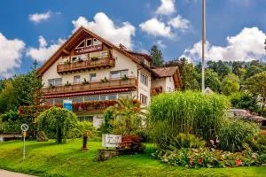 纽恩菲尔斯酒店 - 巴登韦勒