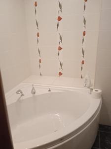 Beautiful flat in centre of Chișinău city