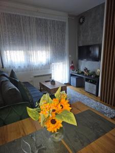 Apartman Rajska dolina Titova vila