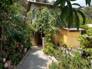 Cabaña Zapallar interior