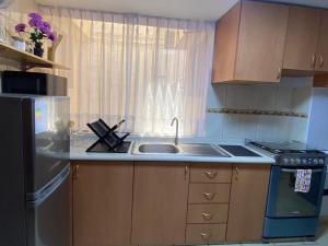 Departamento Sureyya House